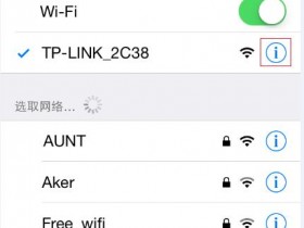 falogin.cn官网IPhone/iPad如何手动指定IP地址?